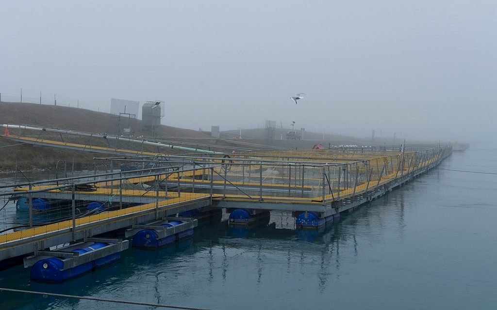 Sisli havada deniz kafeslerinin yürüme platformları.